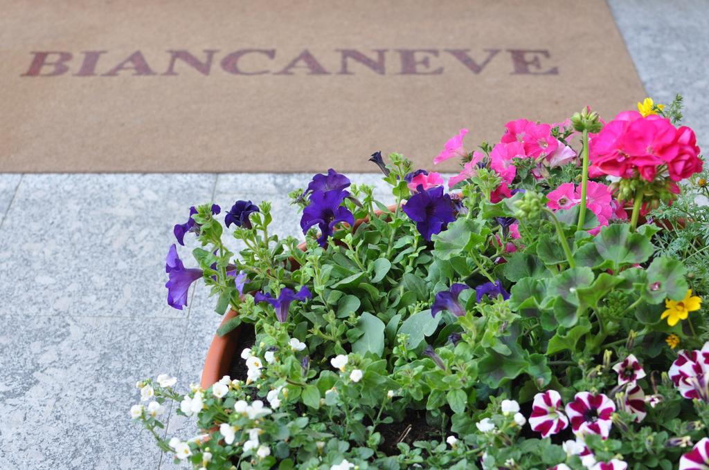 Residence Biancaneve Aprica Dış mekan fotoğraf