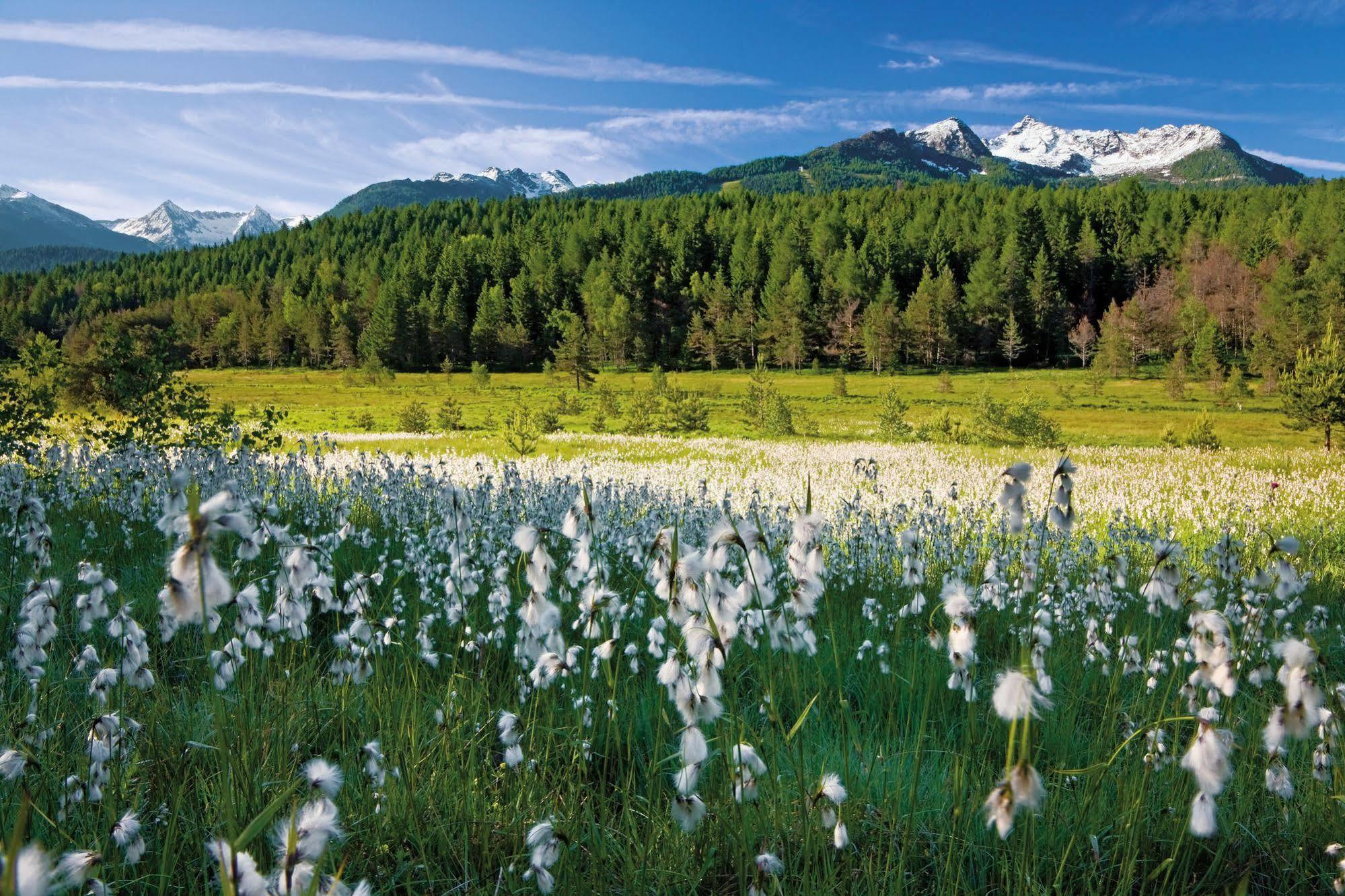 Residence Biancaneve Aprica Dış mekan fotoğraf